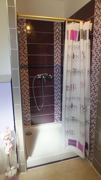 Appartement Romana Puissalicon 34 المظهر الخارجي الصورة