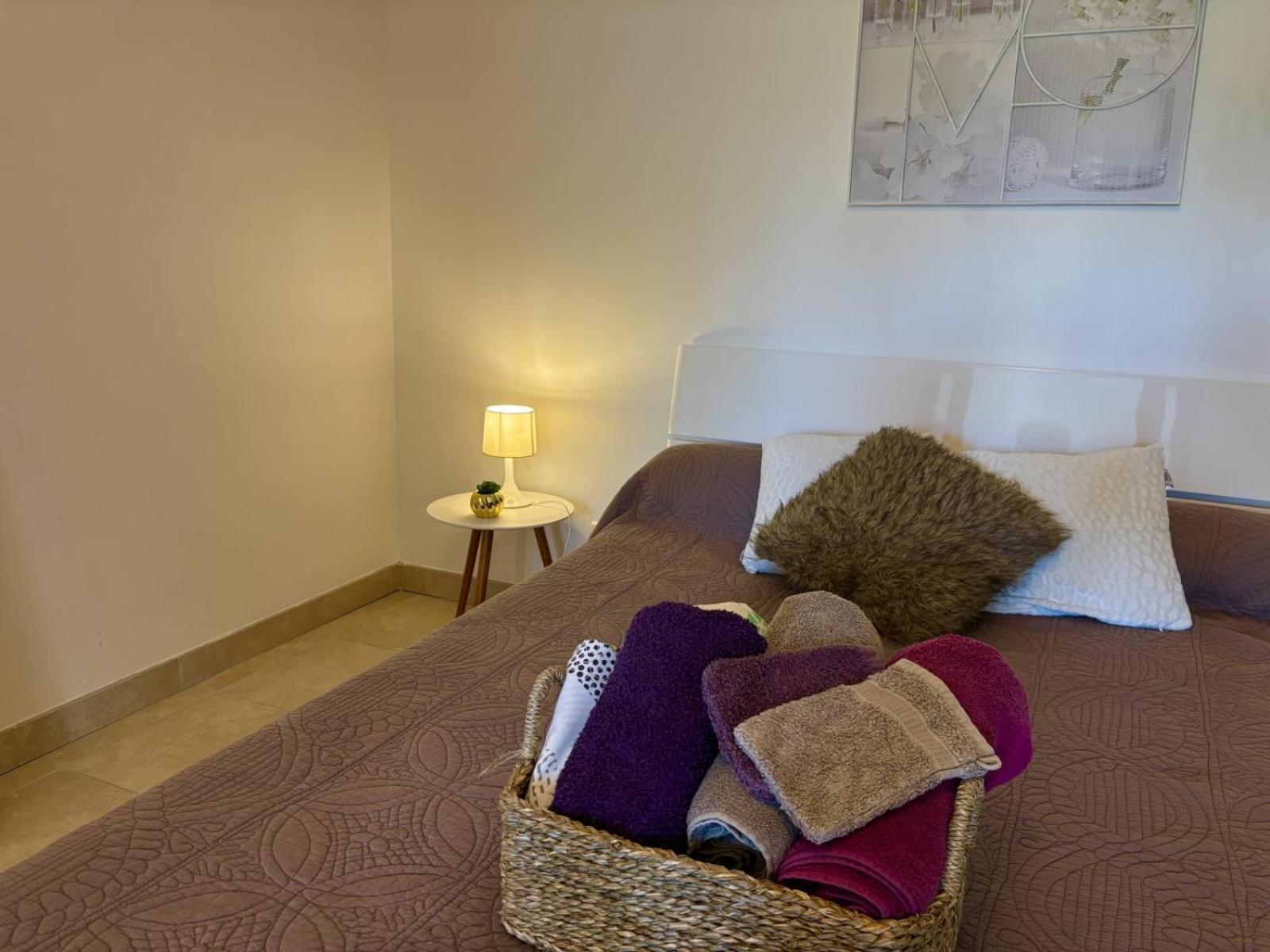Appartement Romana Puissalicon 34 المظهر الخارجي الصورة