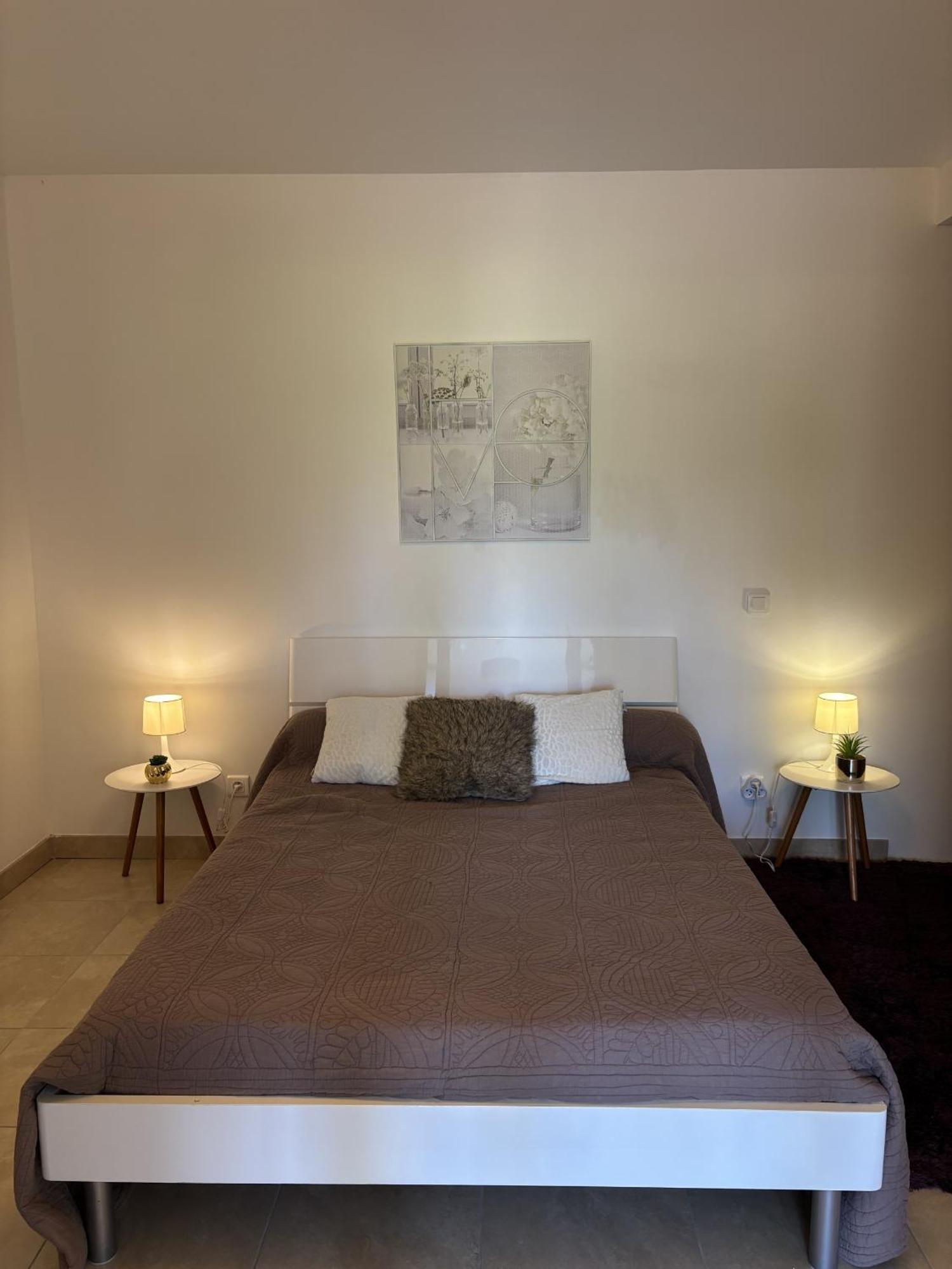 Appartement Romana Puissalicon 34 المظهر الخارجي الصورة